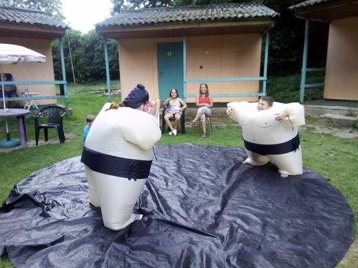 Sumo 2.jpg